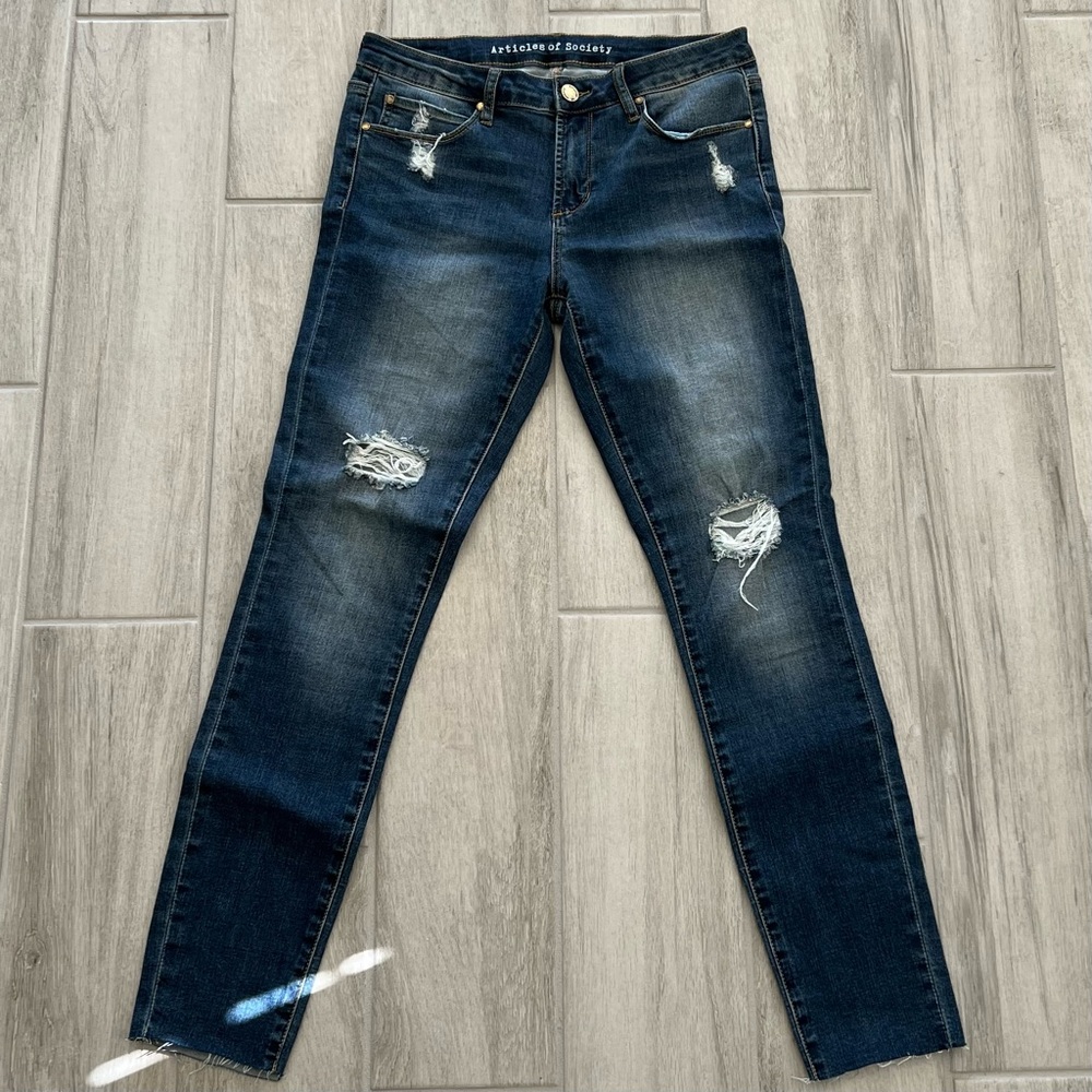 Articles of Society Distressed Skinny Jeans